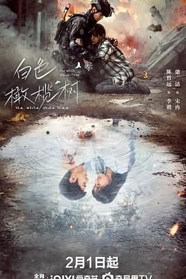 因为爱情有多美